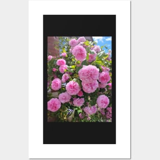 gift, for birthday happy birthday beautiful, flower Posters and Art